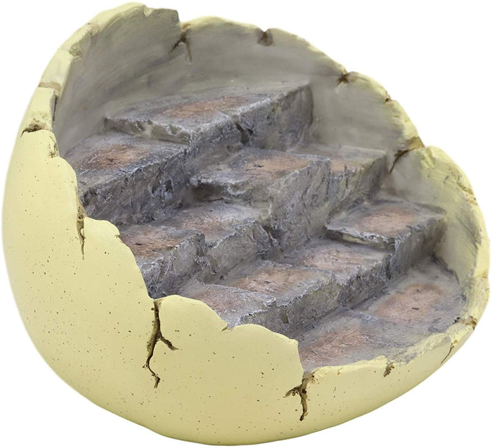 Ebros Gift Ebros Wyrmling Dragon Hatchling Cracked Egg Miniature Display Stand With Rocky Steps Figurine As Decorative Housing For Miniature Dragons Sculptures Medieval Fantasy Alchemy Decorative Statue