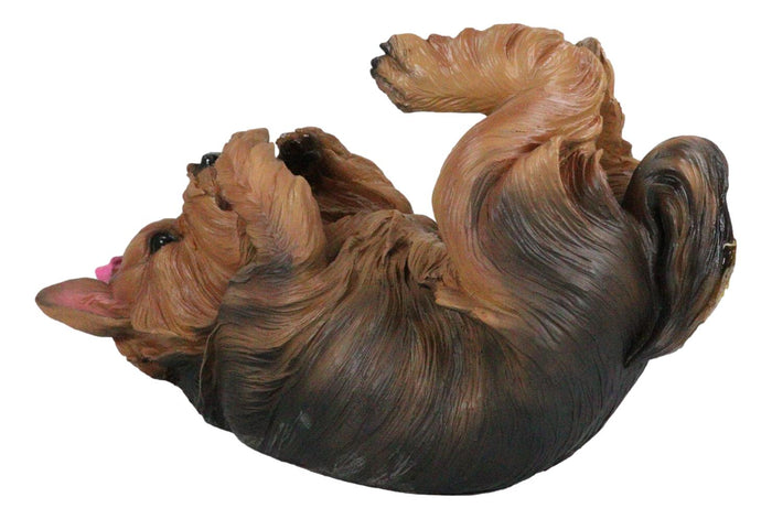 Ebros Gift Ebros Yorkie Canine Dog Wine Bottle Holder Figurine 10.5" Long
