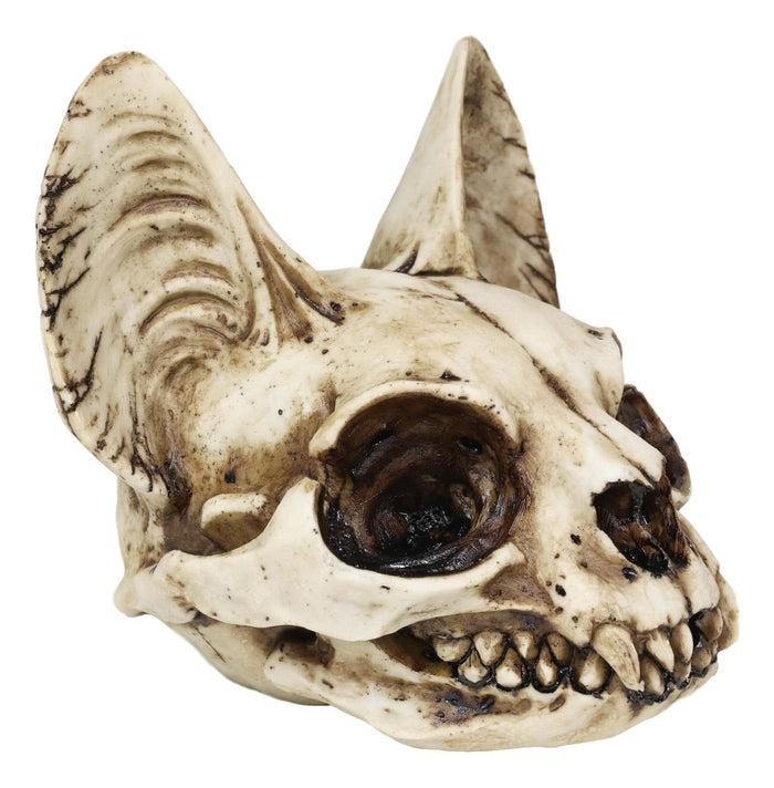 Ebros Gift Egyptian Goddess Of Protection And Home Bastet Cat Skull Statue Macabre Skulls