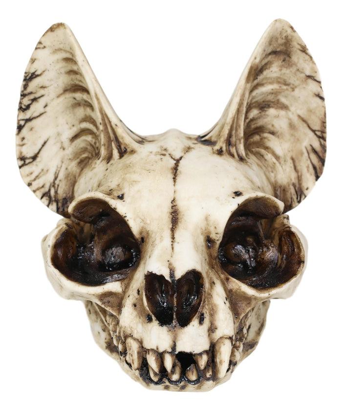 Ebros Gift Egyptian Goddess Of Protection And Home Bastet Cat Skull Statue Macabre Skulls