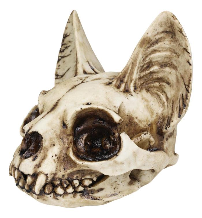 Ebros Gift Egyptian Goddess Of Protection And Home Bastet Cat Skull Statue Macabre Skulls