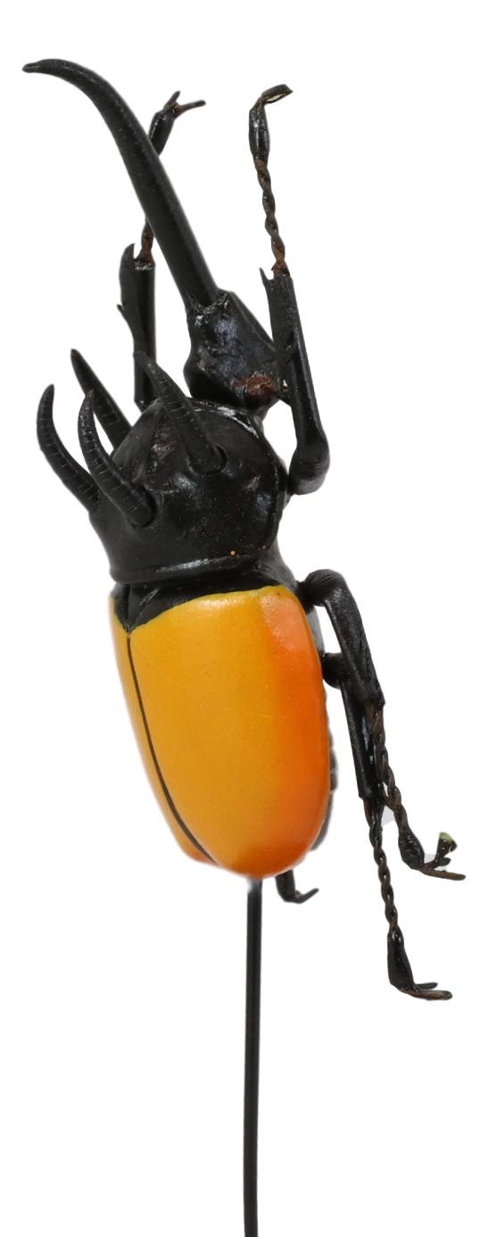 Ebros Gift Entomology 3 Horned Rhino Beetle Faux Taxidermy Sculpture In Glass Dome Cloche