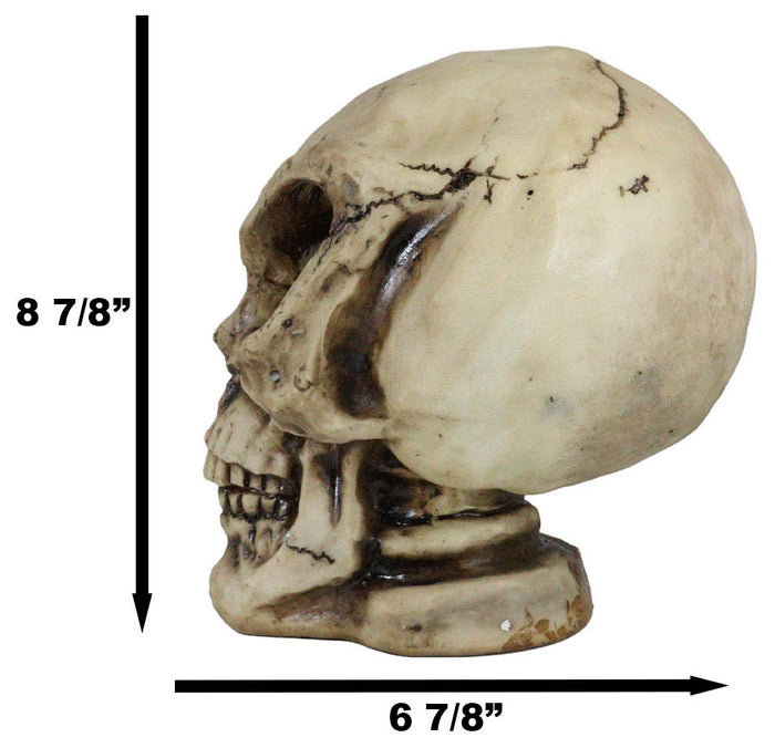 Ebros Gift Extra Terrestrial MARS Attack 8" Tall Alien Skull Skeleton Figurine Sculpture