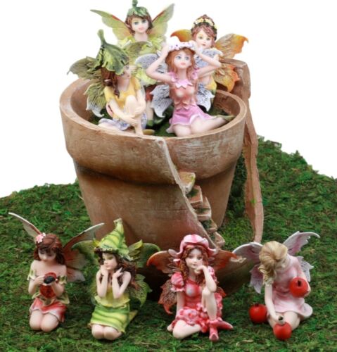 ebros gift Fairy Garden Starter Kit Broken Planter Pot With 8 Miniature Fairy Figurines Set