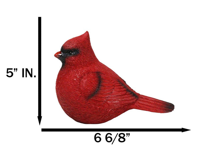 Ebros Gift Faux Taxidermy Realistic Northern Male Red Cardinal Bird On Perch Figurine