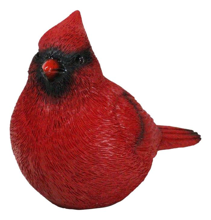 ebros gift Faux Taxidermy Realistic Northern Male Red Cardinal Bird On Perch Figurine