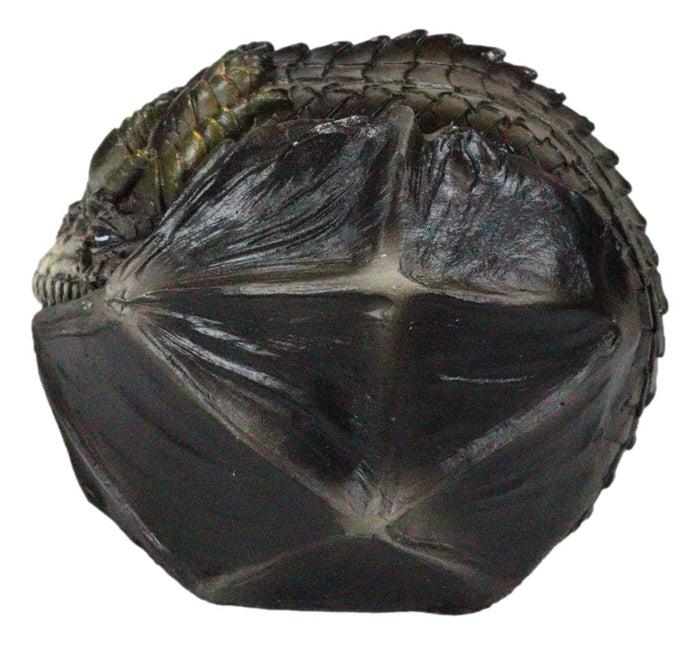 Ebros Gift Fear The Dragon Green Hibernating Small Trinket Jewelry Box Stanley Morrison