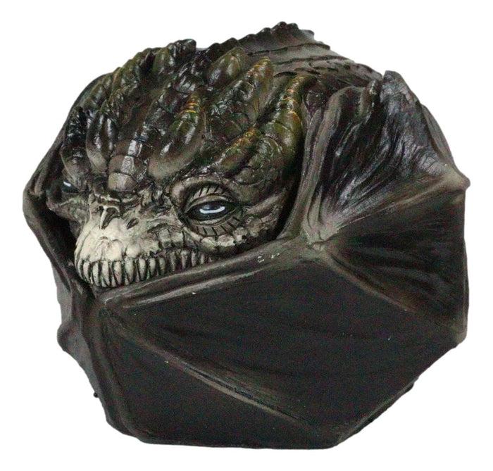 Ebros Gift Fear The Dragon Green Hibernating Small Trinket Jewelry Box Stanley Morrison