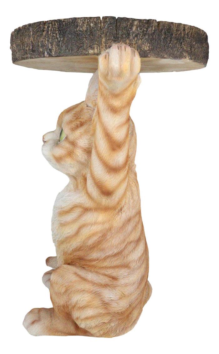 Ebros Gift Feline Orange Tabby Cat Kitten Holding Faux Wood Slice Table Stand Figurine