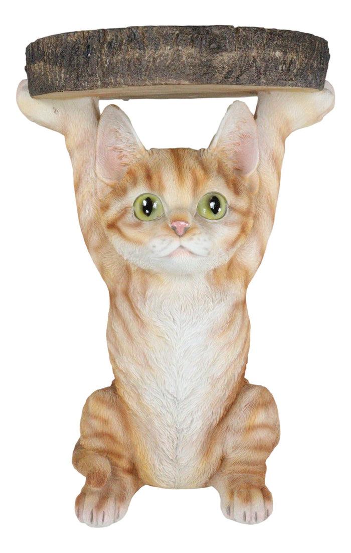 Ebros Gift Feline Orange Tabby Cat Kitten Holding Faux Wood Slice Table Stand Figurine