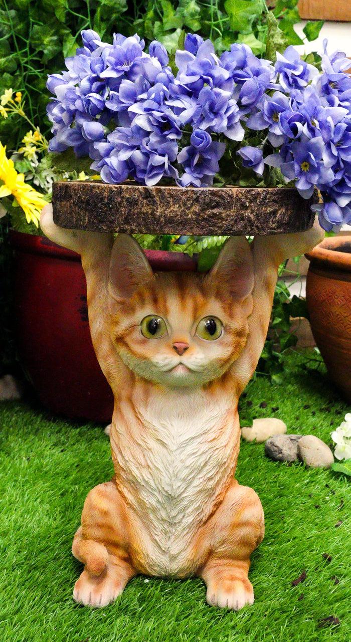 ebros gift Feline Orange Tabby Cat Kitten Holding Faux Wood Slice Table Stand Figurine