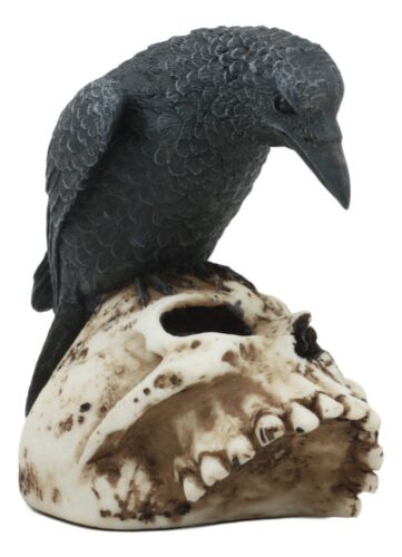 Ebros Gift Foreboding Dark Crow Raven On Skull Statue 5"Tall Ossuary Scavenger Raven Bird
