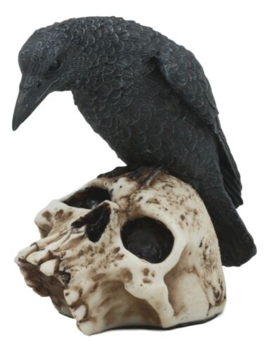 Ebros Gift Foreboding Dark Crow Raven On Skull Statue 5"Tall Ossuary Scavenger Raven Bird