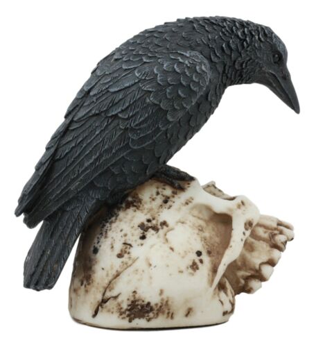 Ebros Gift Foreboding Dark Crow Raven On Skull Statue 5"Tall Ossuary Scavenger Raven Bird