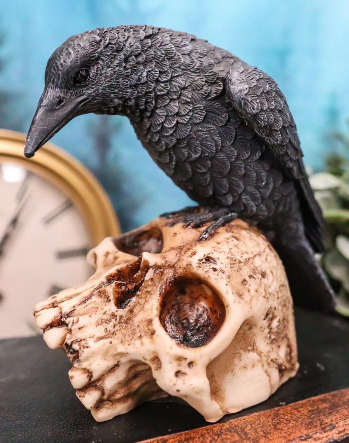 ebros gift Foreboding Dark Crow Raven On Skull Statue 5"Tall Ossuary Scavenger Raven Bird