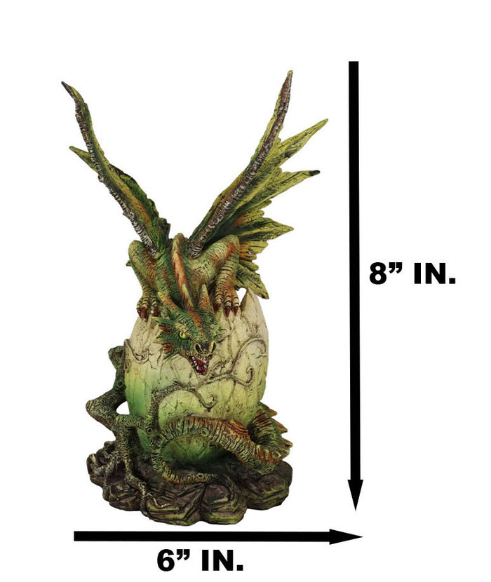 Ebros Gift Forest Ent Greenman Dendritic Dragon Hatchling Emerging From Egg Shell Figurine