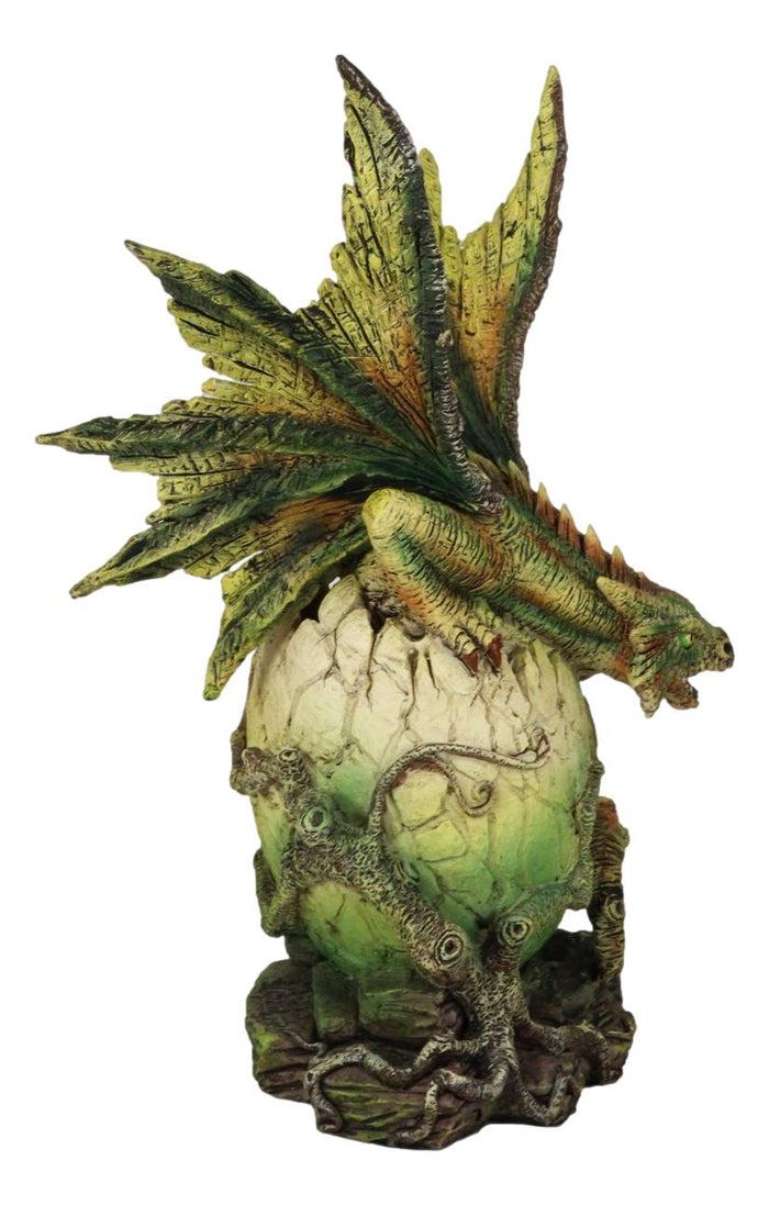 Ebros Gift Forest Ent Greenman Dendritic Dragon Hatchling Emerging From Egg Shell Figurine