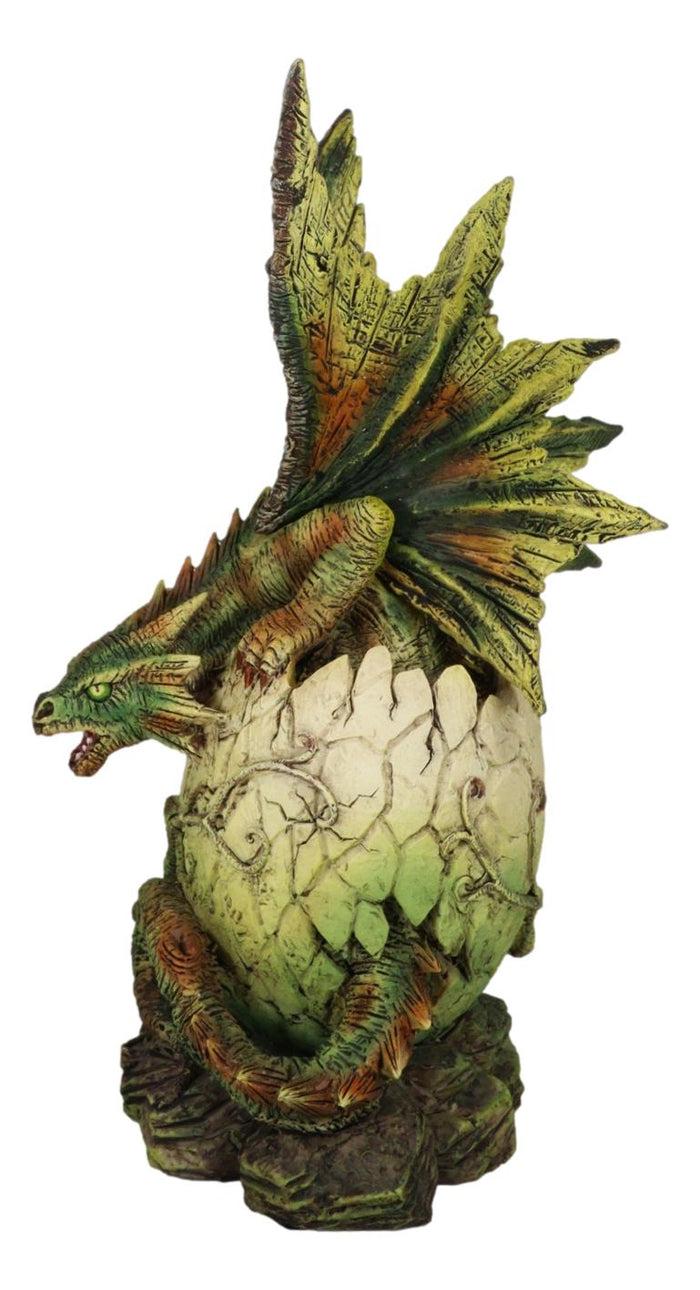 Ebros Gift Forest Ent Greenman Dendritic Dragon Hatchling Emerging From Egg Shell Figurine