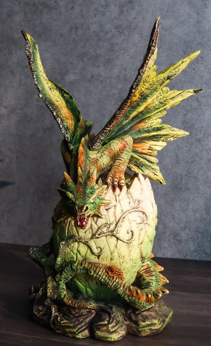 ebros gift Forest Ent Greenman Dendritic Dragon Hatchling Emerging From Egg Shell Figurine