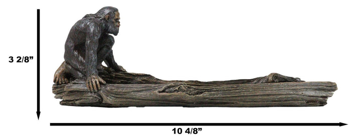 Ebros Gift Forest Mythical Creature Sasquatch Big Foot Cryptid Ape Incense Burner Figurine