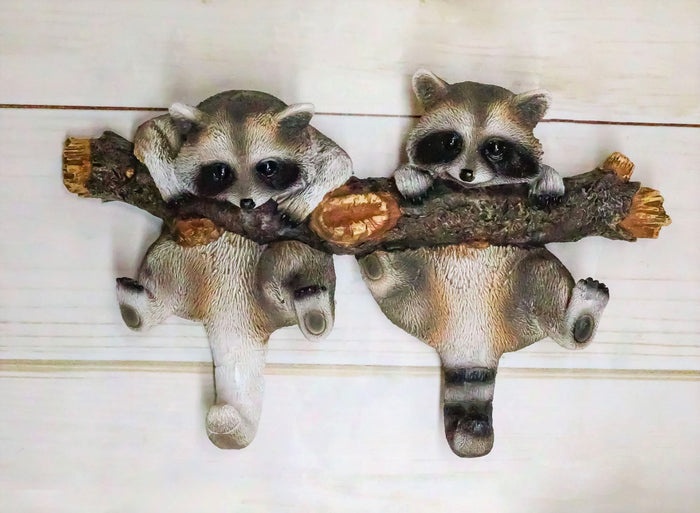 ebros gift Forest Rustic 2 Playful Raccoons Dangling On Tree Branch 6 Pegs Wall Hook Decor