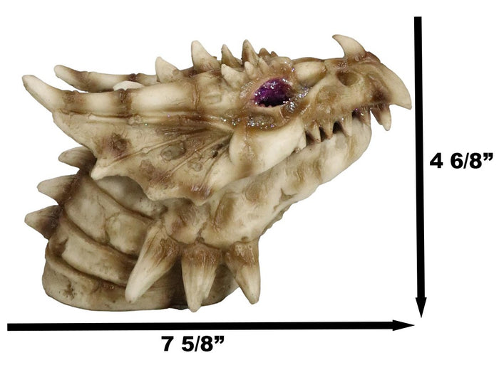 Ebros Gift Fossil Dragon Skull Skeleton With Faux Geode Crystal Eyes Incense Burner Box