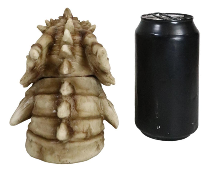Ebros Gift Fossil Dragon Skull Skeleton With Faux Geode Crystal Eyes Incense Burner Box