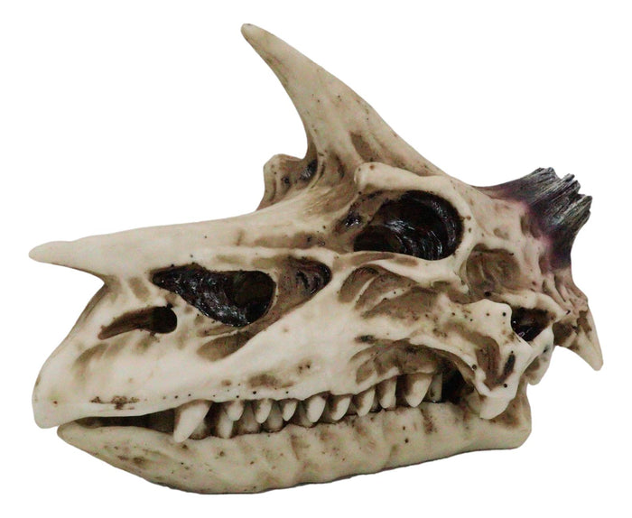 Ebros Gift Fossil Skull Smog Fire Breath Horned Dragon Incense Holder Burner Figurine Box