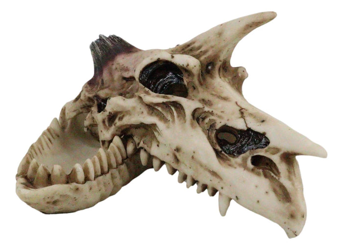Ebros Gift Fossil Skull Smog Fire Breath Horned Dragon Incense Holder Burner Figurine Box
