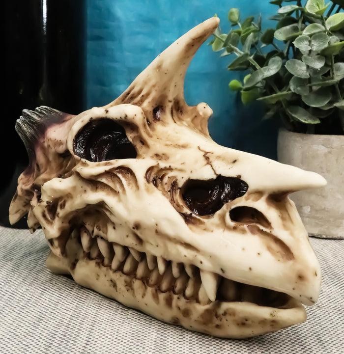 ebros gift Fossil Skull Smog Fire Breath Horned Dragon Incense Holder Burner Figurine Box
