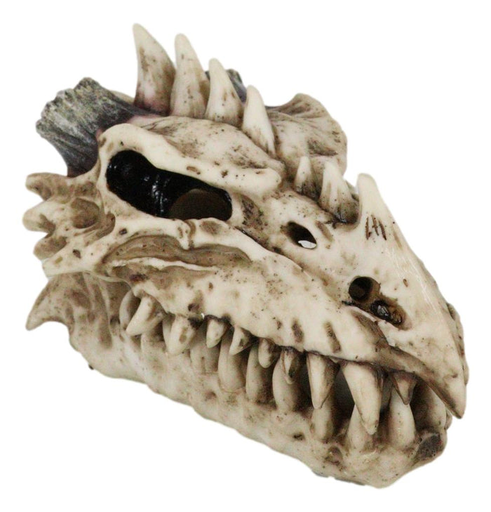 Ebros Gift Fossil Skull Smoke Fire Breath Spiked Dragon Incense Holder Burner Figurine Box