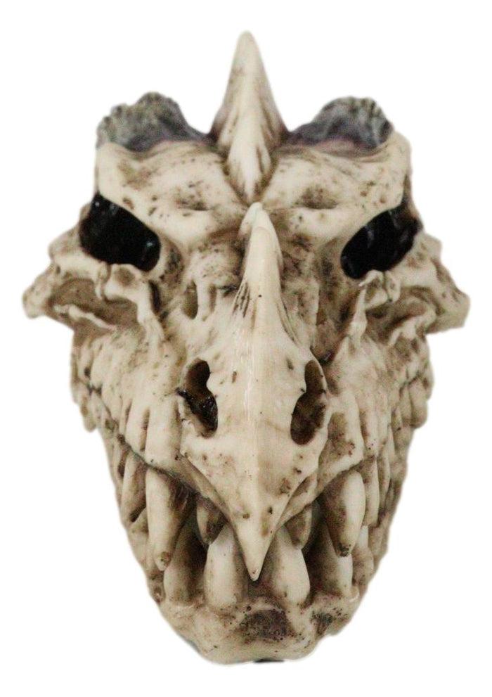 Ebros Gift Fossil Skull Smoke Fire Breath Spiked Dragon Incense Holder Burner Figurine Box