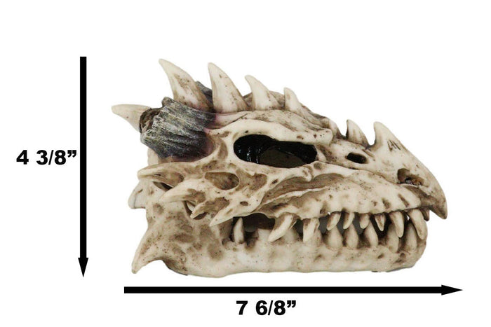 Ebros Gift Fossil Skull Smoke Fire Breath Spiked Dragon Incense Holder Burner Figurine Box