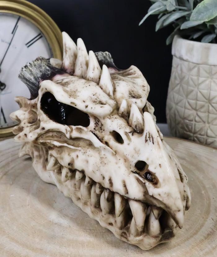 ebros gift Fossil Skull Smoke Fire Breath Spiked Dragon Incense Holder Burner Figurine Box