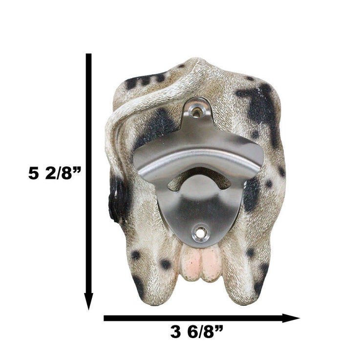 Ebros Gift Funny Country Farm Western Holstein Cow Ass Butt Wall Beer Bottle Cap Opener
