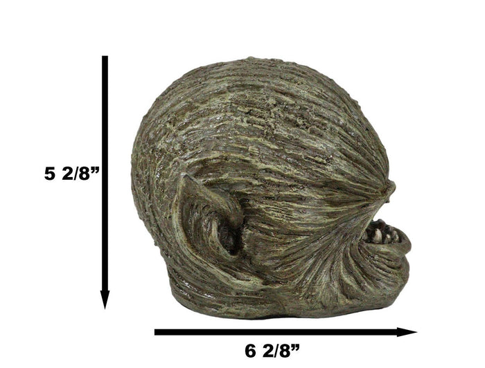 Ebros Gift Ghastly Faceless Alien Zombie Skull Figurine 6.25"Long Horrific Blind Predator