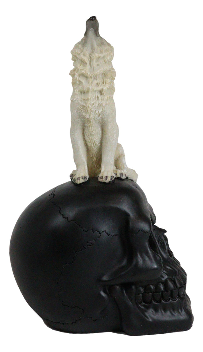 Ebros Gift Gothic Full Moon Howling White Wolf Sitting On Black Macabre Skull Figurine