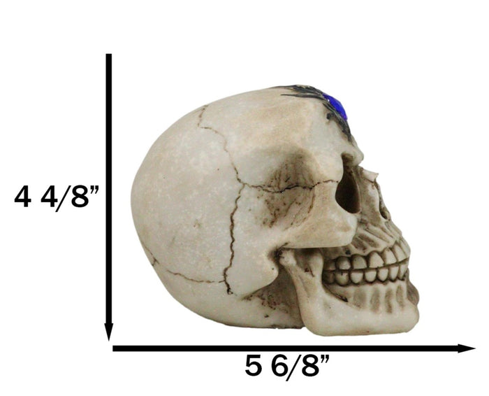 Ebros Gift Gothic Macabre Homosapien Skull With Faux Blue Sapphire Gem Crystal Figurine