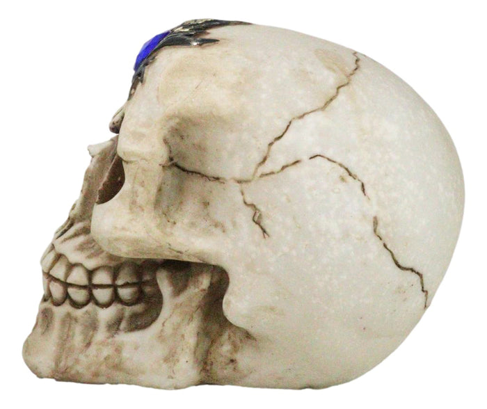 Ebros Gift Gothic Macabre Homosapien Skull With Faux Blue Sapphire Gem Crystal Figurine