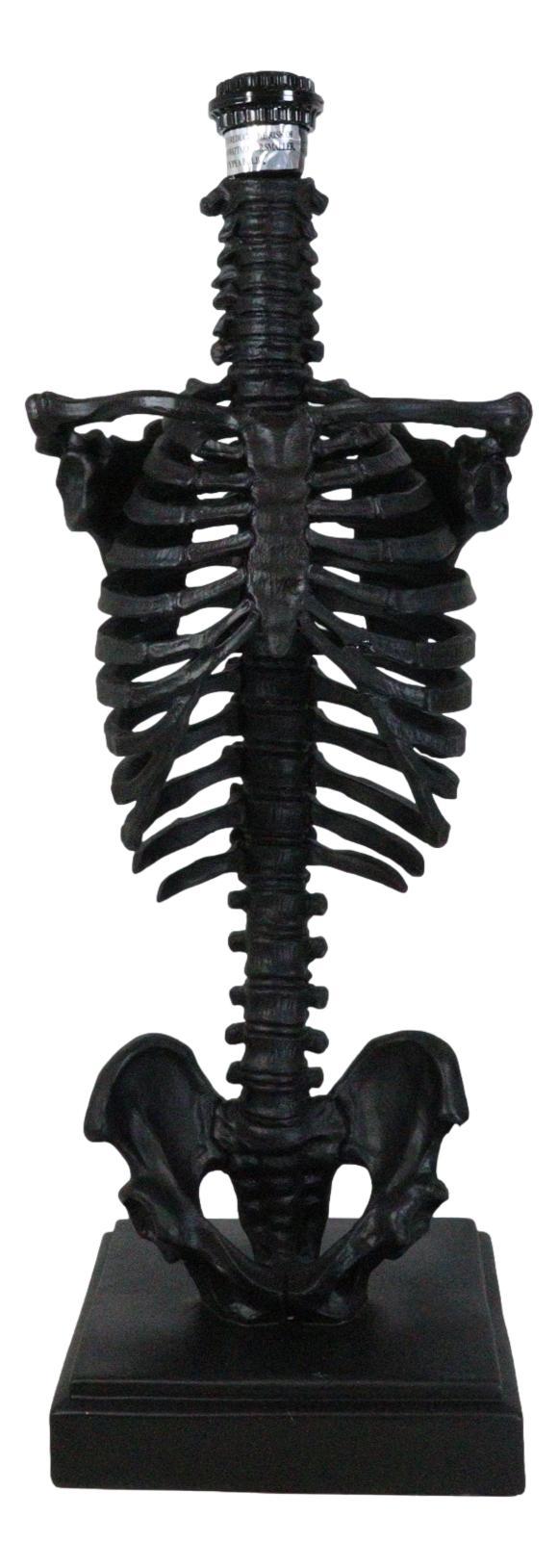 Ebros Gift Gothic Ossuary Black Skeleton Rib Cage Torso Human Anatomy Table Lamp With Shade