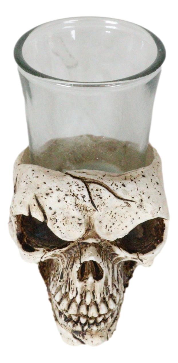 Ebros Gift Gothic Ossuary Graveyard Macabre Grinning Evil Skull Shot Glass Holder Figurine