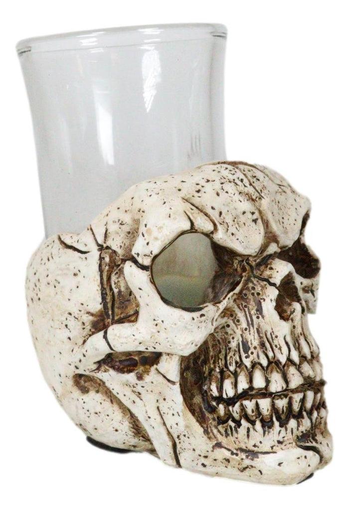 Ebros Gift Gothic Ossuary Graveyard Macabre Grinning Evil Skull Shot Glass Holder Figurine