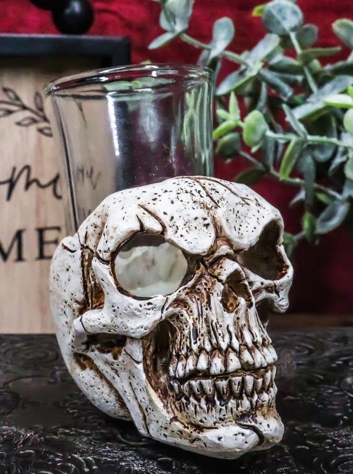 ebros gift Gothic Ossuary Graveyard Macabre Grinning Evil Skull Shot Glass Holder Figurine