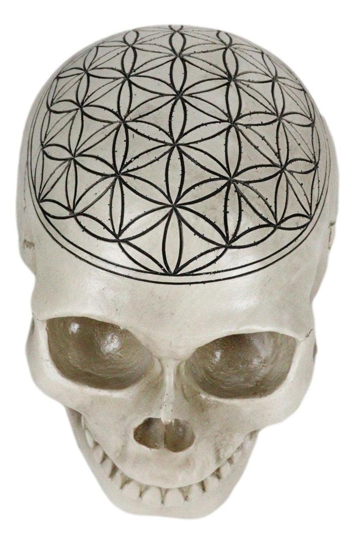 Ebros Gift Gothic Sacred Geometry Flower Of Life Creation Cosmic Energy Skull Figurine