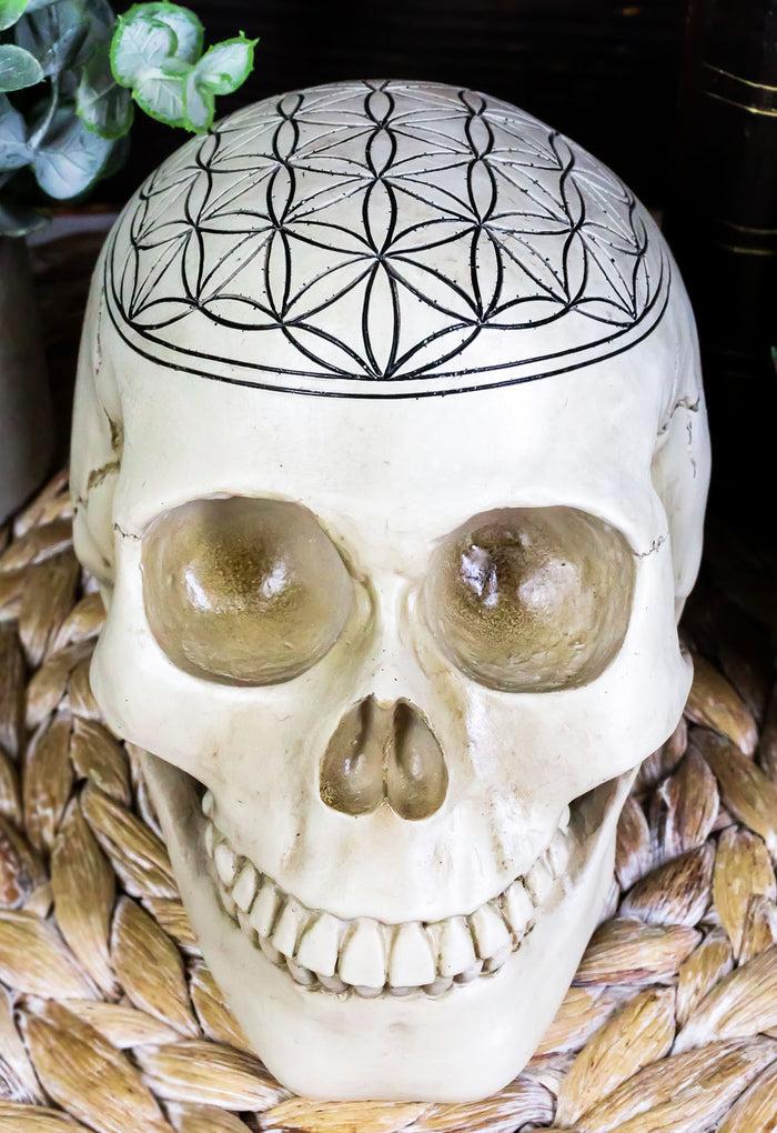 ebros gift Gothic Sacred Geometry Flower Of Life Creation Cosmic Energy Skull Figurine