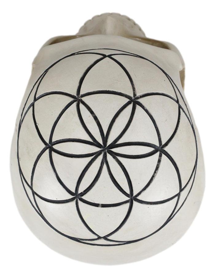 Ebros Gift Gothic Sacred Geometry Seed Of Life Earth Creation Cosmic Energy Skull Figurine