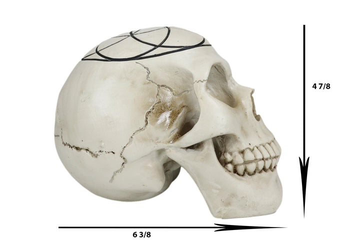 Ebros Gift Gothic Sacred Geometry Seed Of Life Earth Creation Cosmic Energy Skull Figurine
