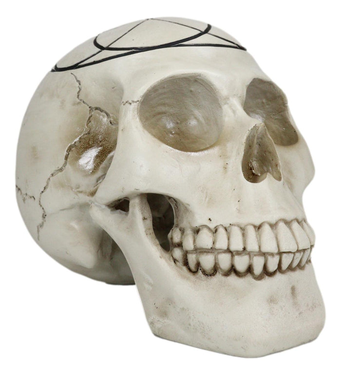 Ebros Gift Gothic Sacred Geometry Seed Of Life Earth Creation Cosmic Energy Skull Figurine