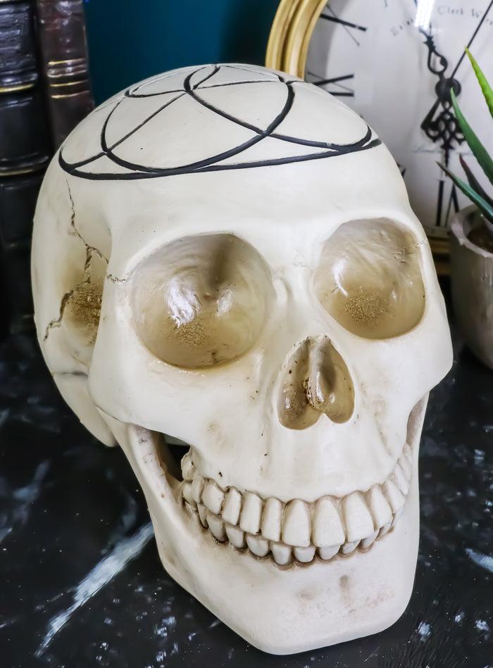 ebros gift Gothic Sacred Geometry Seed Of Life Earth Creation Cosmic Energy Skull Figurine