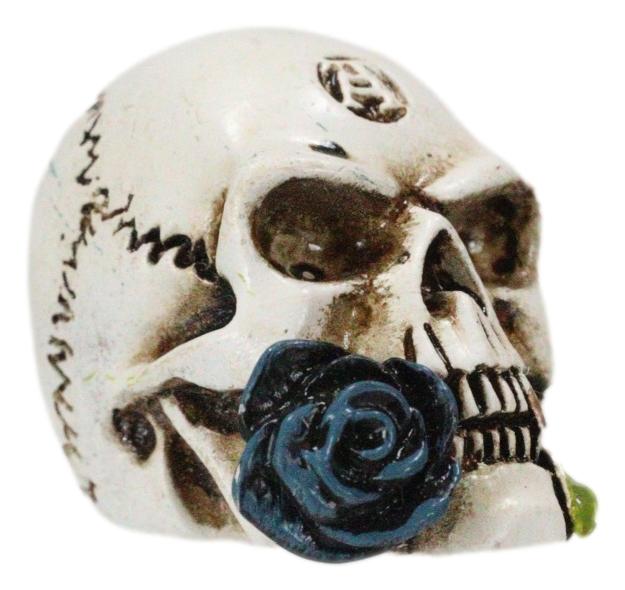 Ebros Gift Gothic Tango Vampire Skull Biting Black Rose Stalk Mini Dark Alchemy Figurine